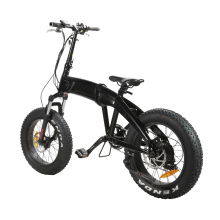 350W/500W Long Range Fat Tire 20 Inch Mountain Adult Electric Bike